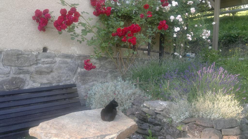 U Mushera Vrchlabí Buitenkant foto