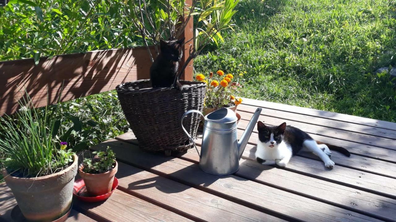 U Mushera Vrchlabí Buitenkant foto
